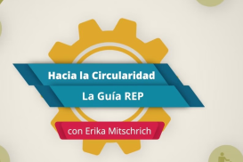 Hacia la Circularidad: La Guía REP